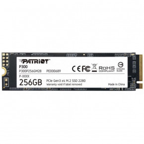  SSD Patriot M.2 2280 256GB P300P256GM28 (WY36dnd-254978)