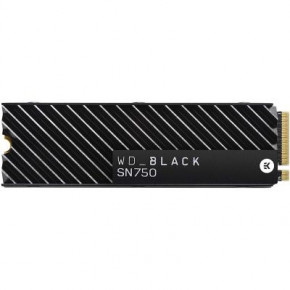  SSD M.2 2280 1TB WD (WDS100T3XHC)