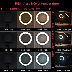  Led  ZB-R14 (14339) 8