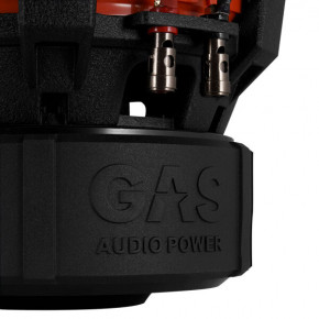  GAS MAX S1-10D1 6