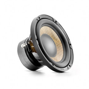  Focal Performance P20FE