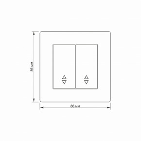     TITANUM STANDARD (TF-ST-SW2P-W) 5