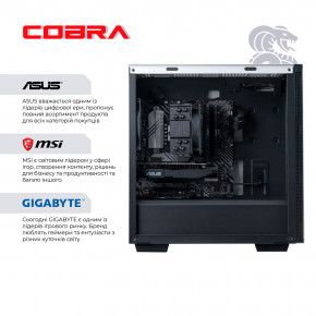   COBRA Gaming (A76.64.H1S5.46T.17433) 6