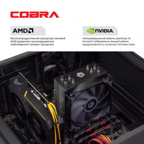   Cobra Gaming (A36.16.S4.36.951) 5