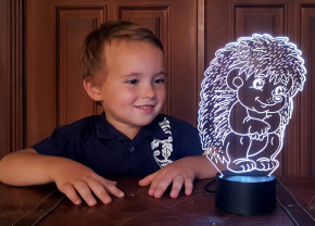    3D   3DTOYSLAMP (12-35046)