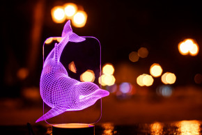    3D  3DToyslamp  (12-017) 3