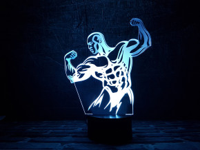  3DToyslamp  (10-005) 6