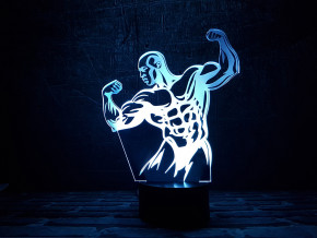    3D  3DToyslamp  (12-172)