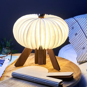  Gingko R Space Lamp 