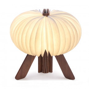  Gingko R Space Lamp  6