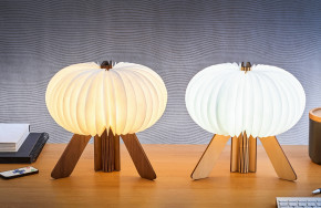  Gingko R Space Lamp  11