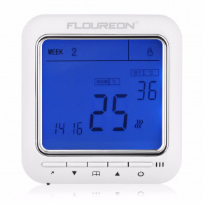    Floureon 8900.  