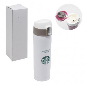  Starbucks 500   (EL- 305)