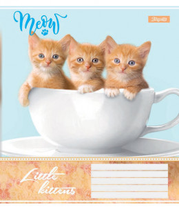 5/60 . 1 LITTLE KITTENS,    (763668)