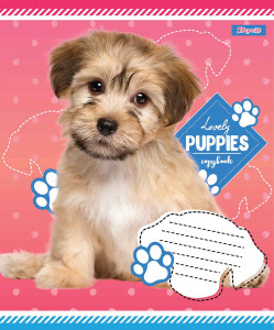  1  Lovely Puppies 5 18  (765424) 3