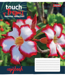  1  Touch Tropics 5 18  (765437) 5