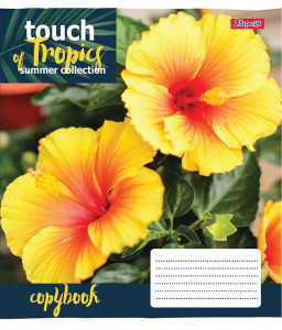  1  Touch Tropics 5 18  (765437) 6