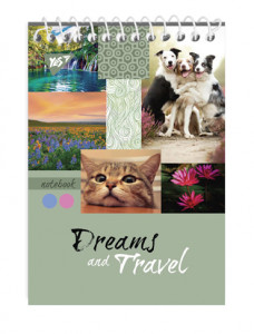    7/80 . DREAMS & TRAVEL YES (681555) 4