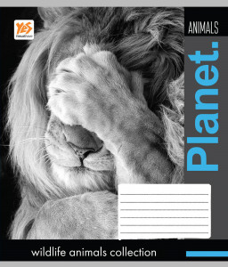 5/48 . YES .  2-  Wildlife animals-17,  (761076) 5