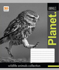 5/48 . YES .  2-  Wildlife animals-17,  (761076) 6