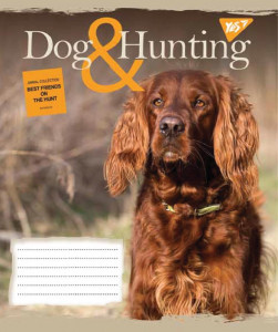 5/48 . YES HUNTING DOG,    (763826) 4