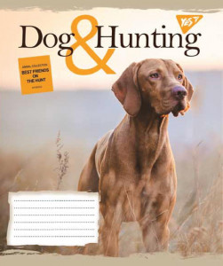 5/48 . YES HUNTING DOG,    (763826) 6