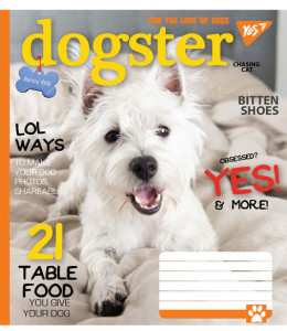 5/60 . YES DOGSTER,    (763840)