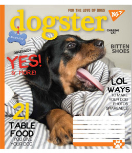 5/60 . YES DOGSTER,    (763840) 3