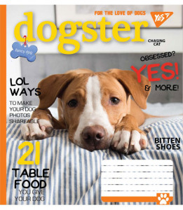 5/60 . YES DOGSTER,    (763840) 4