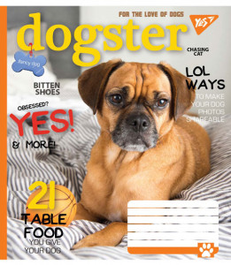 5/60 . YES DOGSTER,    (763840) 6