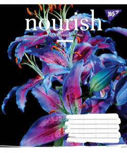 5/60 . YES NOURISH,    (764168) 3