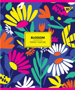    Yes 5/96 . BLOSSOM (764397) 5