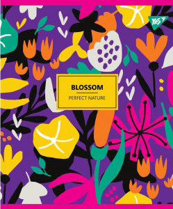    Yes 5/96 . BLOSSOM (764397) 6