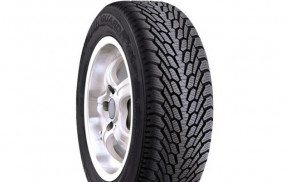 Nexen Winguard 245/45 R17 99T