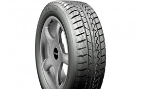 Petlas Snowmaster W651 195/55 R15 85H