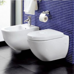    Villeroy&Boch Soft Closing (9M55S101) 3