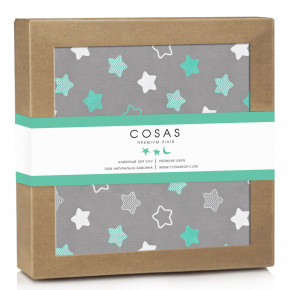  Cosas  COOKIE MINT (WaterSheet_CookieMint_120)