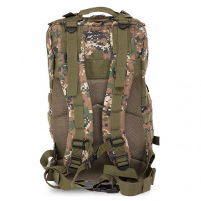    FDSO ZK-5509 35  Marpat (59508246) 4