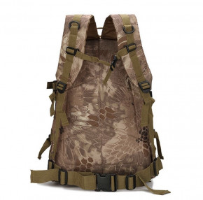    Molle Assault B01 , 40  3