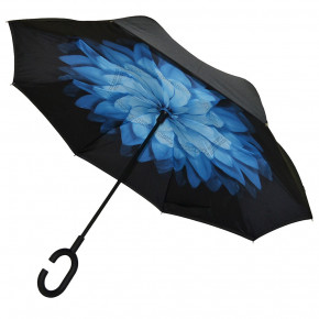   Up-Brella   6