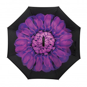    Up-Brella   (2907-10101) 10