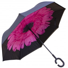   Up-Brella  - (2907-9207)