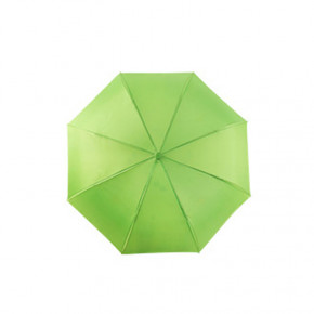     Up-Brella Frog-Green 6