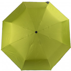    FARE 0987-lime 3