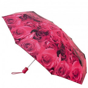    Fulton Open-Close-4 L346 Photo Rose Red