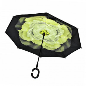   Lesko Up-Brella       