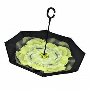   Lesko Up-Brella        3