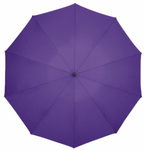  Zuodu ZD001 Purple  3