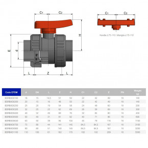    EFFAST d20  (22300) 3