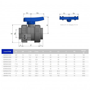   EFFAST    d1/2 (25636) 3